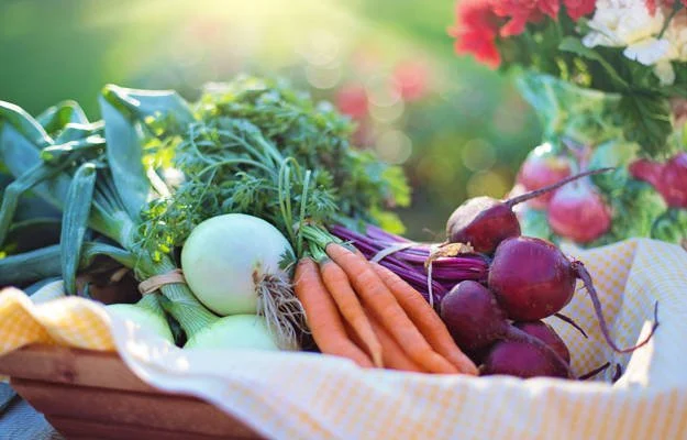 The Science of Sustained Weight Management: Navigating Diet, Nutrition, and Metabolic Health
