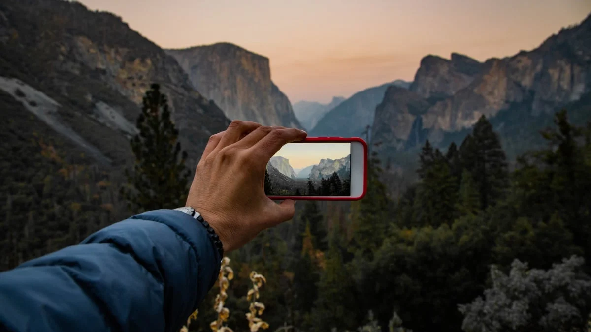 Beyond the Infinite Scroll: Reclaiming Your Digital Sanity Through Bloomscrolling