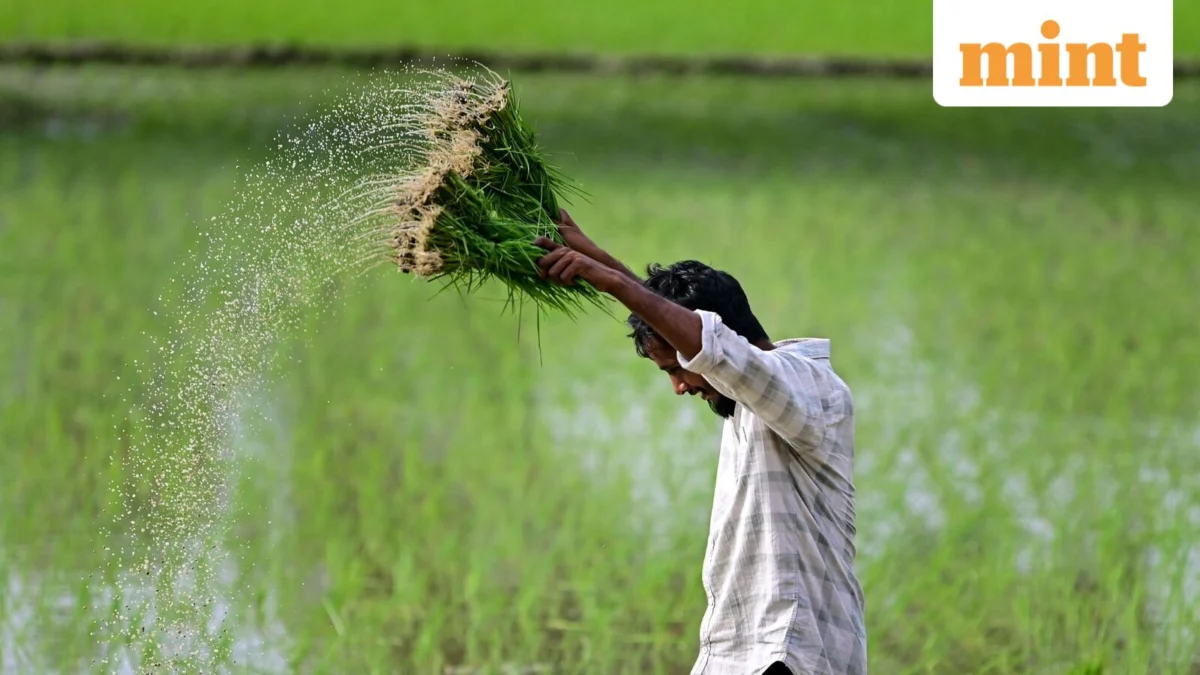 Madhya Pradesh Unleashes ₹317.86 Crore Crop Insurance Payouts, Bolstering Farmer Resilience Amidst Agricultural Ambitions