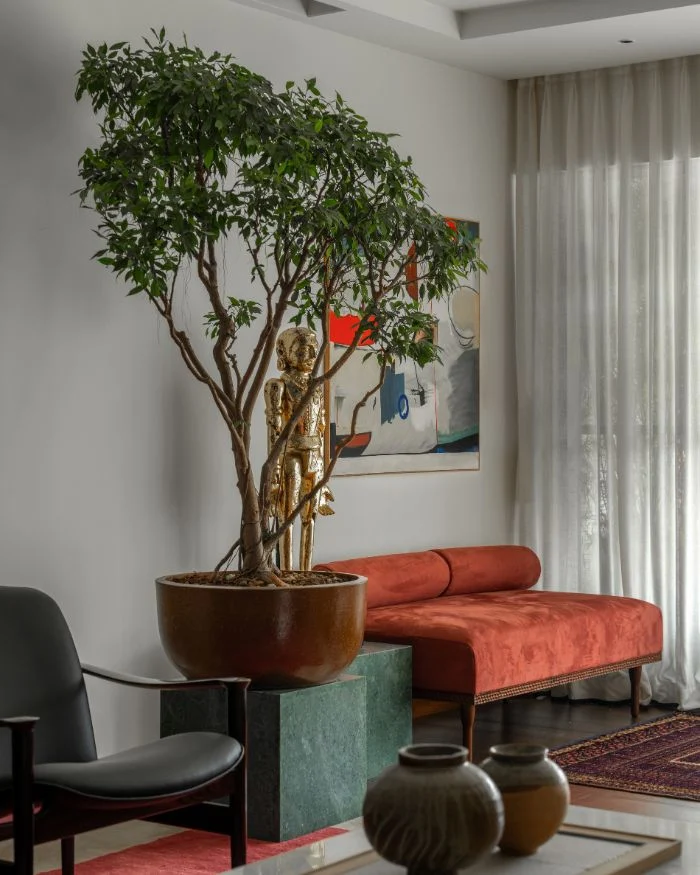 The Art of Restraint: A Masterclass in Curated Minimalist Living