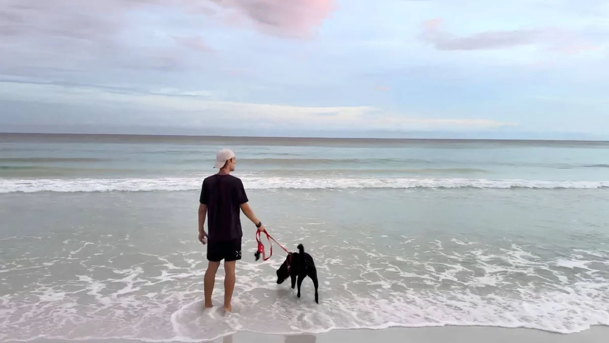 The Peripatetic Path: How a Rescued Puppy Sparked a Philosophical Awakening