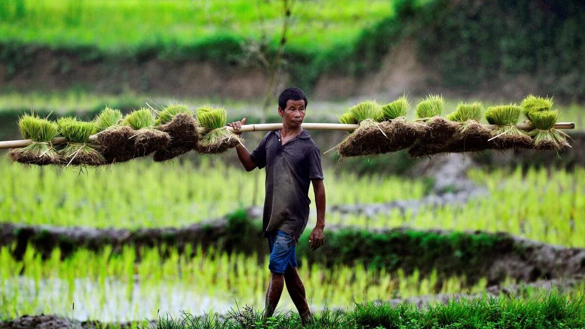 The Silent Architects: Why the Peasantry Remains the Backbone of the Modern World