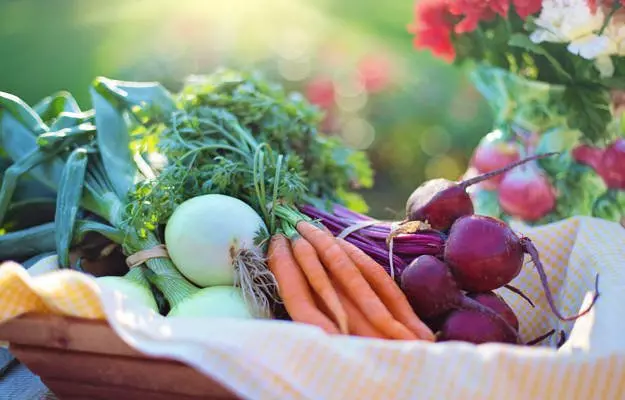 The Vital Role of Dry Fruits in Weight Management and Holistic Health: A Comprehensive Guide